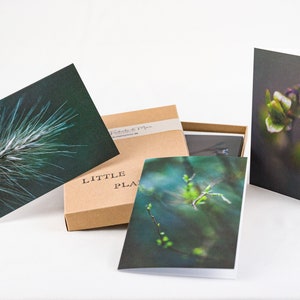 Fine Art Print Klappkarten Set, 6 Stck., Serie 'Little Plants'