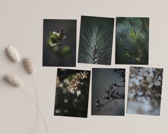 Fine Art Print Folding Cards Set, 6 pcs., Series 'Little Plants'