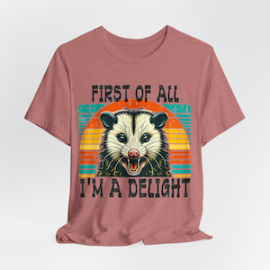 First Of All I&#39;m A Delight Shirt, Cute Sarcastic Shirt, Sarcastic Self Love Hoodie, Angry Possum Tee, Gift For Best Friend, Possum Lover