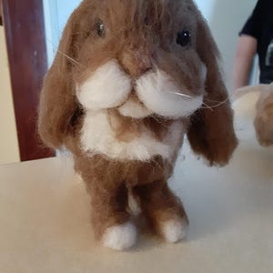 lop earred bunny Needle felted