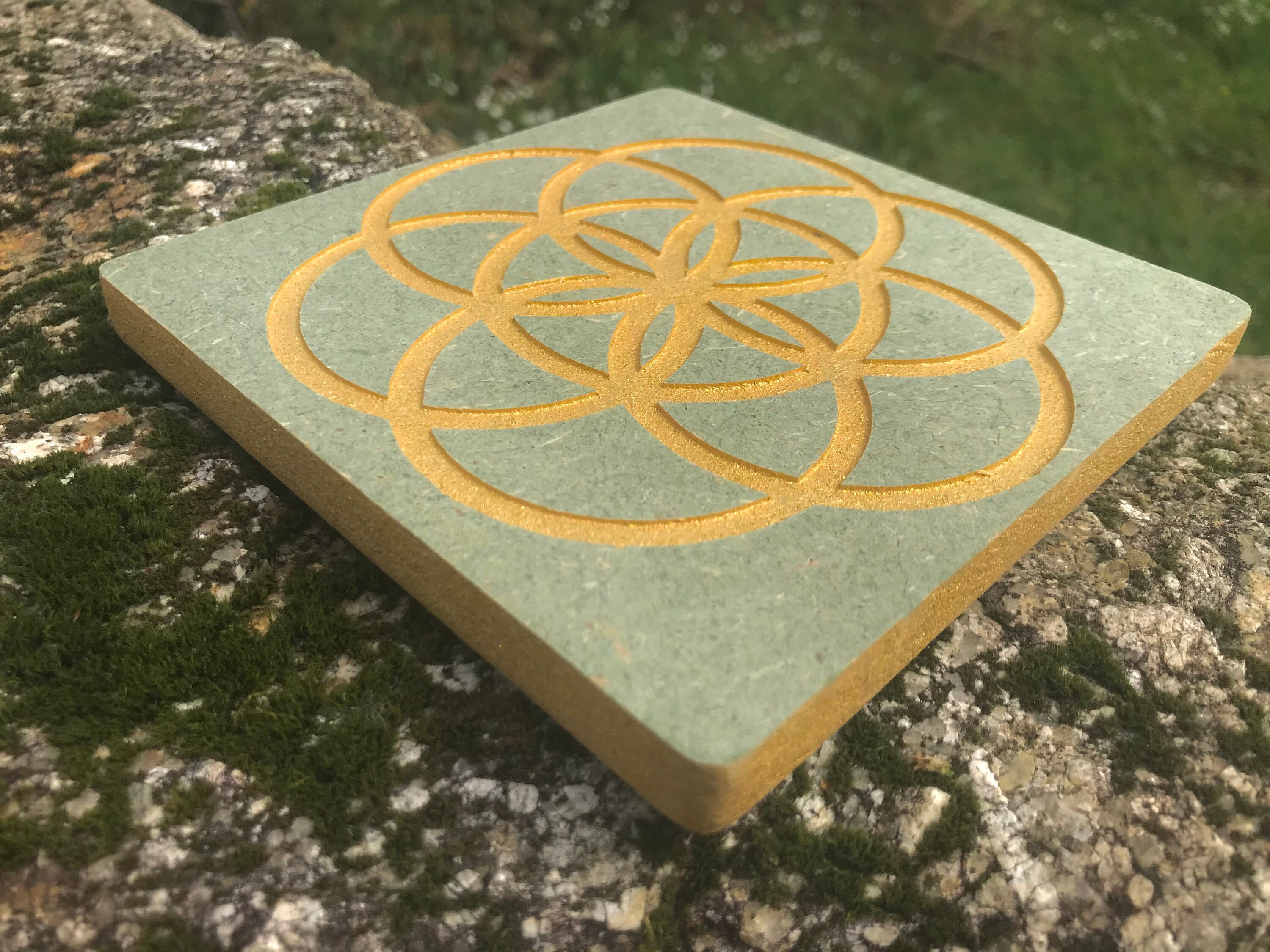 Graine de Vie + Chevalet