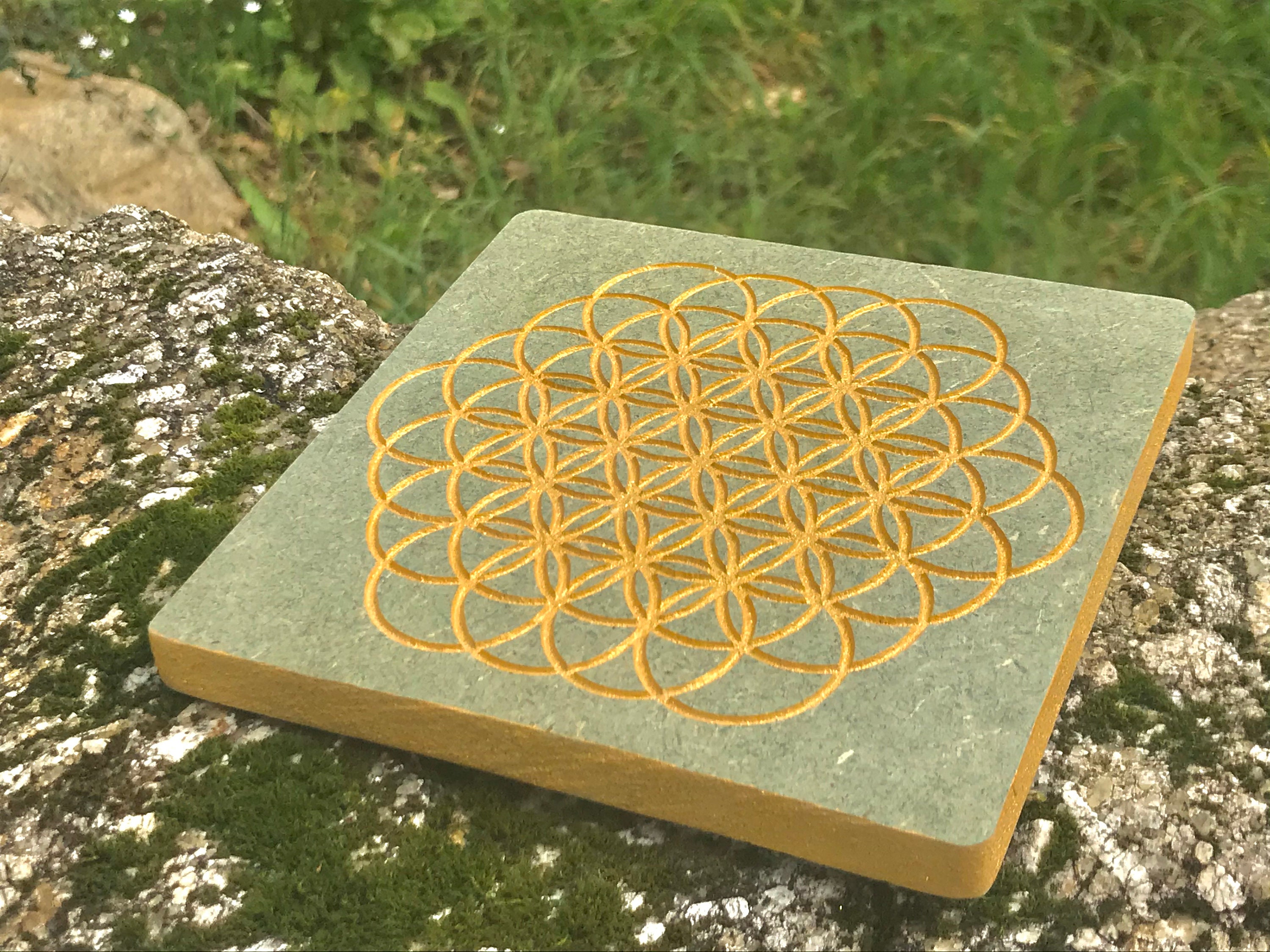 Fleur de Vie 1+ Chevalet