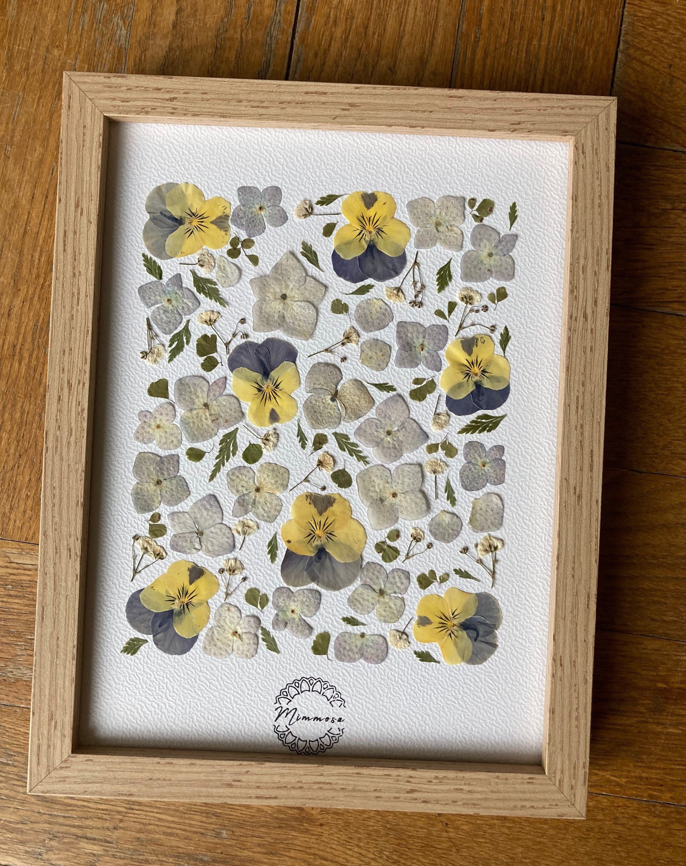 Herbier de Fleurs Séchées et Pressées