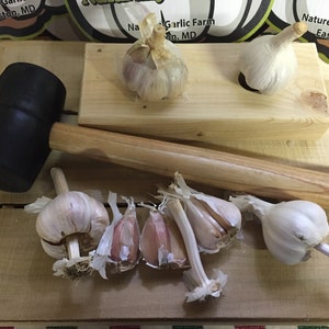 May include: A black rubber mallet with a wooden handle, used for crushing garlic cloves.  There are several whole garlic bulbs and a wooden garlic press with a hole in the centre.