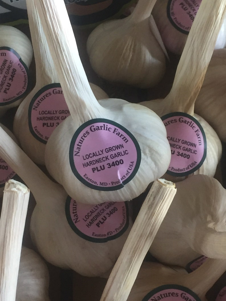 May include: Close-up of a basket of garlic bulbs with pink and green labels that read "Natures Garlic Farm" and "Locally Grown Hardneck Garlic PLU 3400 Easton, MD - Product of USA".