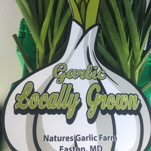 Garlic Lovers Gift Box - Etsy