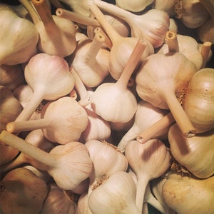 May include: A close-up image of a pile of garlic bulbs. The garlic bulbs are a light brown color and have a papery skin. The garlic bulbs are arranged in a random pattern.