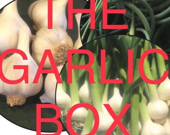 The Garlic Box (Exceptionally Delicious)