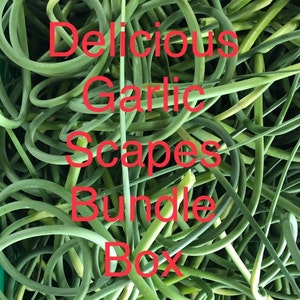 Delicious Garlic Scape Bundle Box