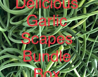 Delicious Garlic Scape Bundle Box