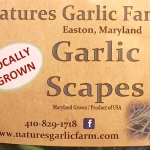 Delicious Garlic Scapes (A Springtime Favorite)