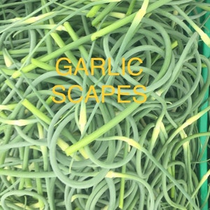 Delicious Springtime Favorite Veggie