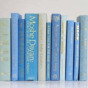 Op de afbeelding: Een verzameling blauwe en lichtblauwe hardcover boeken met gouden letters op de ruggen. De boeken zijn in een rij op een wit oppervlak gerangschikt. De titels van de boeken zijn "Moshe Dayan: Story of My Life", "The Partner", "Ageless Body Timeless Mind", "Passport to Survival", "Bad Childhood" en "Hack".