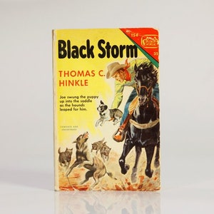 Black Storm by Thomas C. Hinkle (Illustrated; 1964)- Vintage Books, Rare Books, Old Books, 1900&#39;s, vintage decoration