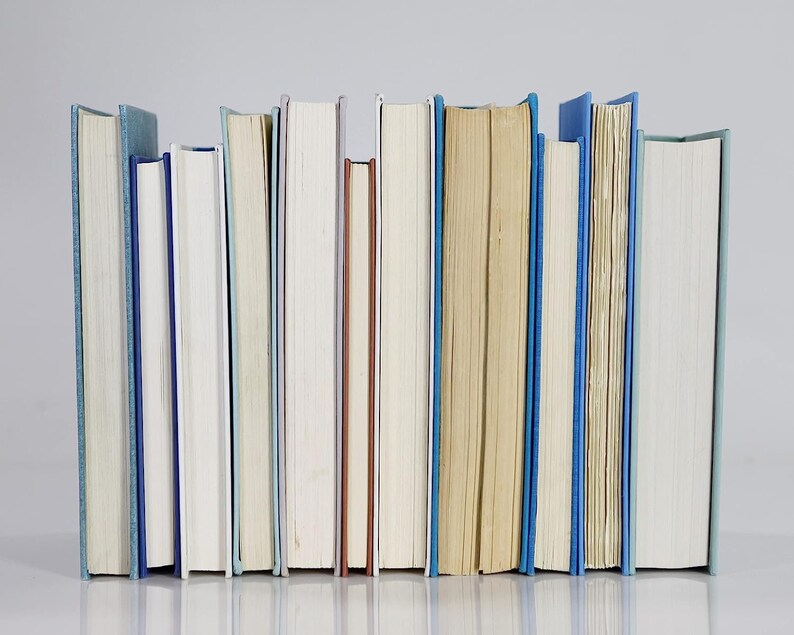 Op de afbeelding: Een rij van gebonden boeken met verschillende rugkleuren, waaronder blauw, wit en beige. De boeken zijn verticaal gerangschikt en allemaal even groot.