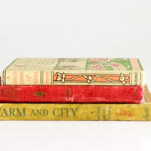 Real Authentic Books for Decoration - Vintage Teacher&#39;s Deluxe Edition Set book set for teachers unique old antique book set for classroom