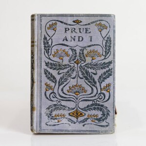 Prue and I by George William Curtis