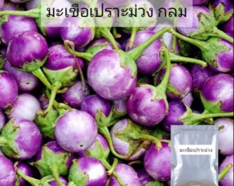 Thai Round Purple Baby Eggplant Seeds,Asia Vegetable Seeds