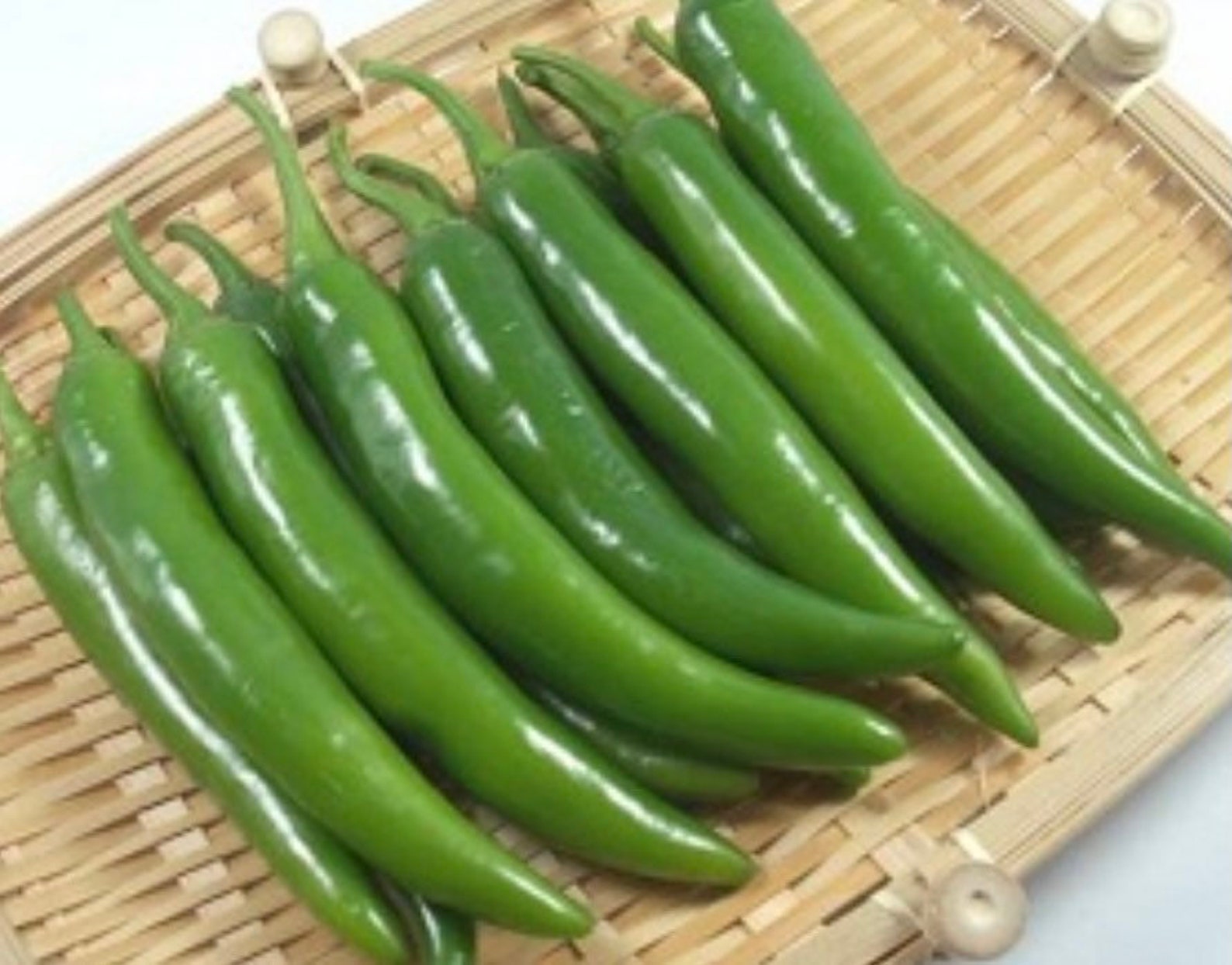 Korean Pepper Put Gochu VITA GREEN Seed 10 Seeds Etsy