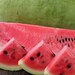 see more listings in the Melon / Cantaloupe section