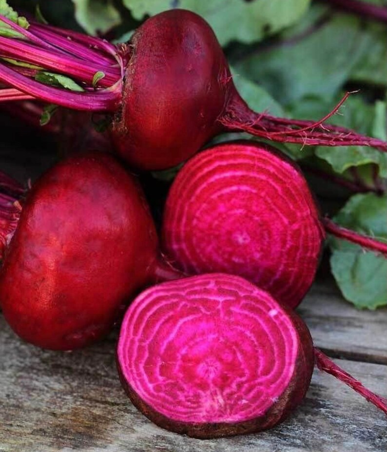 BerryGarden17 Crosby’s Egyptian Beet Seeds