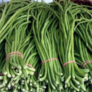 May include: A close-up shot of several bundles of fresh, green long beans. Each bundle is secured with a pink rubber band. The beans are long, slender, and have a vibrant green color, suggesting freshness. The image showcases a healthy, natural food product.