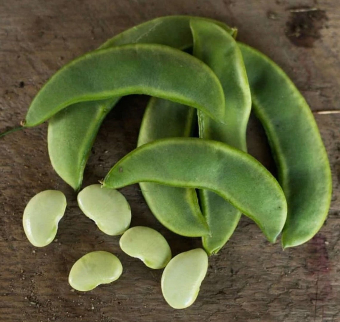 King of the Garden Lima Pole Bean Seeds Etsy