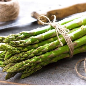 Mary Washington Asparagus Seeds