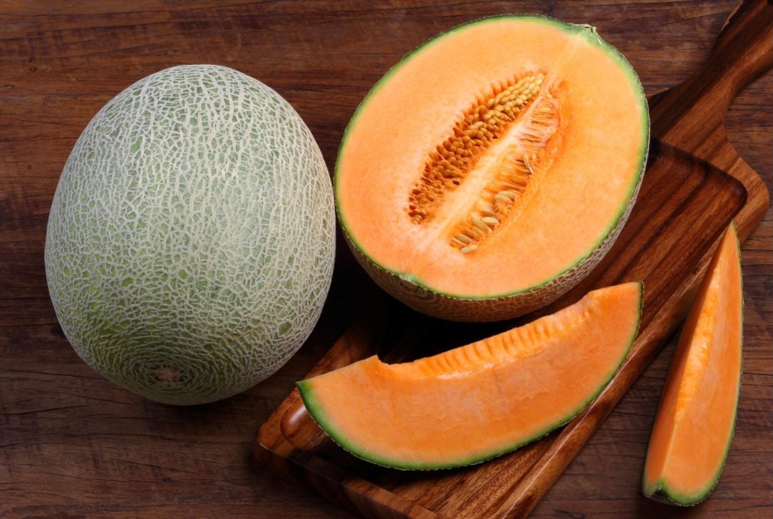 Hales Best Jumbo Melon Seeds Etsy