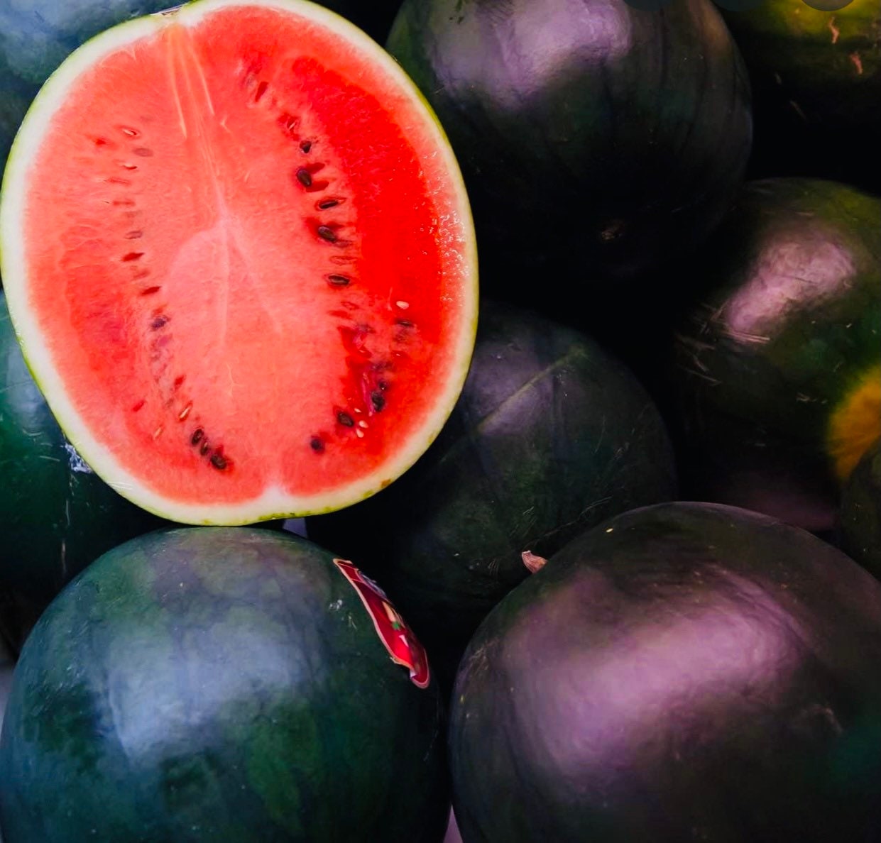 Black Diamond Watermelon Seeds Etsy