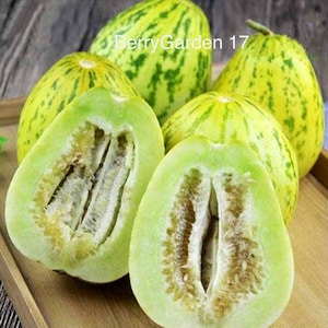 May include: Several yellow-green melons with green stripes, one cut open to reveal the interior. The cut melon shows a light green flesh with rows of seeds. The text "BerryGarden 17" is visible on the image.