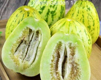 Wah Mibao Chinese Melon Oriental Seed ( 5 Seeds)