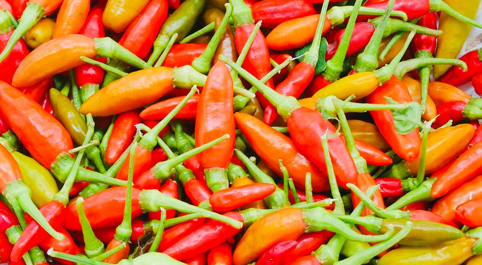 Thai Birds Eye Chili Pepper Seeds Etsy