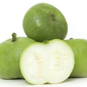 Tinda Apple Gourd Seeds – Indian Squash