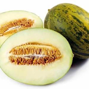 Piel de Sapo Cantaloupe Seeds - Spanish Melon