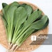 see more listings in the Vegetables leafy green section