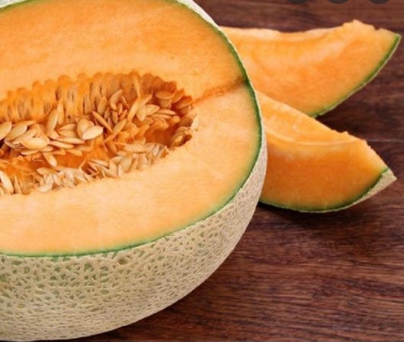 Top Mark Melon Seeds 5 Seeds Etsy Top Mark Melon Seeds 5 Seeds Etsy