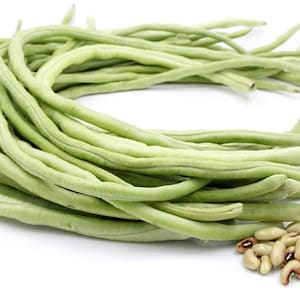 May include: A pile of fresh, light green yardlong beans, also known as Chinese long beans, with a small cluster of tan and red-eyed beans. The beans are arranged on a white background.