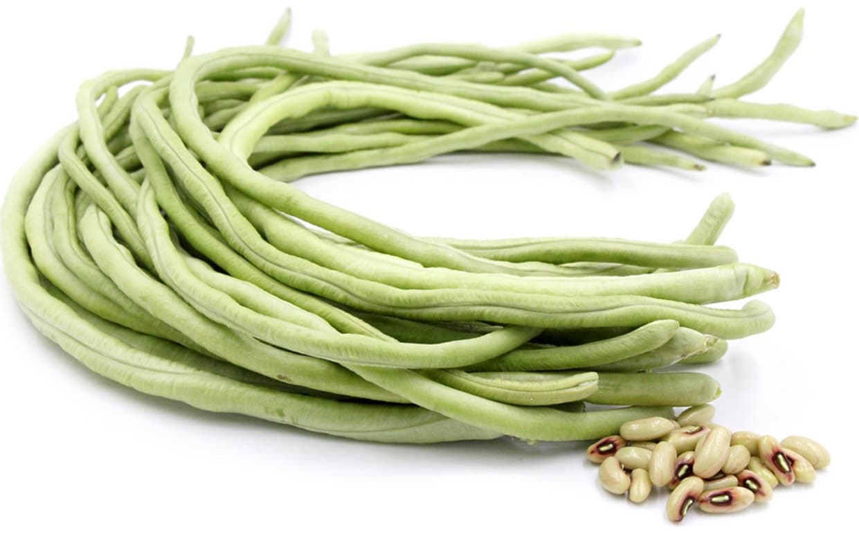 White Seeded Yard Long Bean Seeds Etsy
