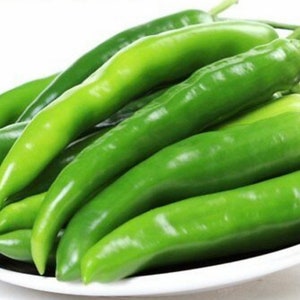 Korean Pepper Cucumber BEAUTY Seed (10 Seeds) NON-GMO