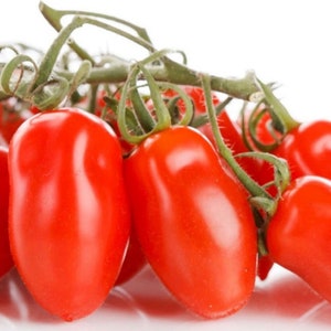 Tomato San Marzano Seeds (Indeterminate) (20+ seeds)