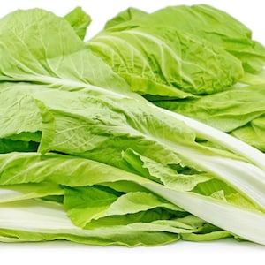 Taiwan Bok Choy Seeds