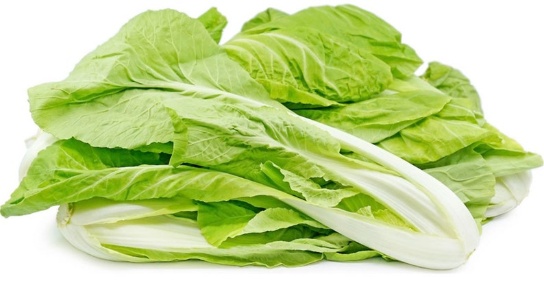 May include: A fresh head of Napa cabbage, featuring pale green leaves with prominent veins and a crisp, white base. The leafy vegetable is displayed against a clean white background, highlighting its natural colors and textures.