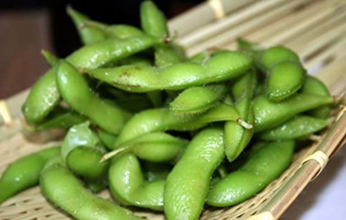 Chiba Green Soybean Seeds grown Certified Organic Etsy Hong Kong