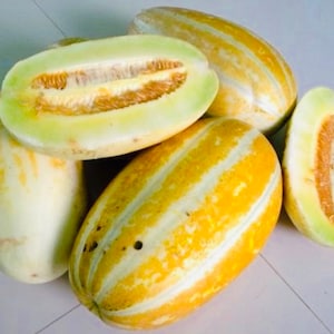 Thai Melon Seeds