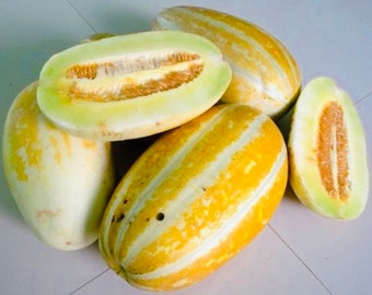Thai Melon Seeds