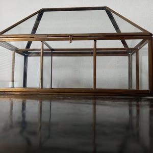 Fabulous Vintage Welded Brass&Glass Curio Display Box, Hinged Top, Hollywood Regency elegance, conservatory showcase for jewellery trinkets