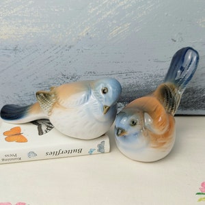 Ardalt Taiwan Bird Figurines, Small Bone China Birds, Optimist And Pessimist Style Bird Figurines