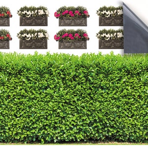 DOLLS HOUSE WALLPAPER Self Adhesive, 1/12th Scale No. 174 Hedge & Window Boxes Larger than A4 Will Not Tear