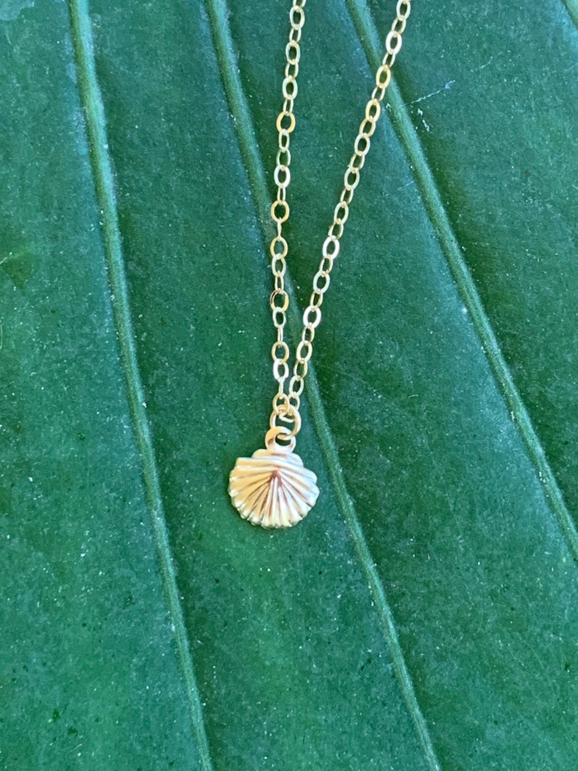 Dainty Gold Shell Necklace Seashell Choker Shiny Chain Etsy